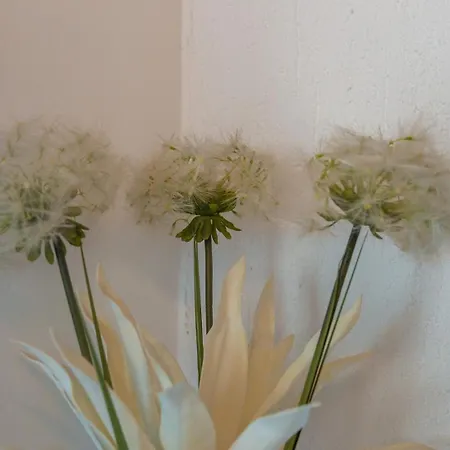 Evan Seaview شقة فونتانا