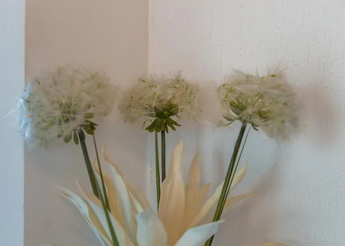 Evan Seaview Apartman Funtana